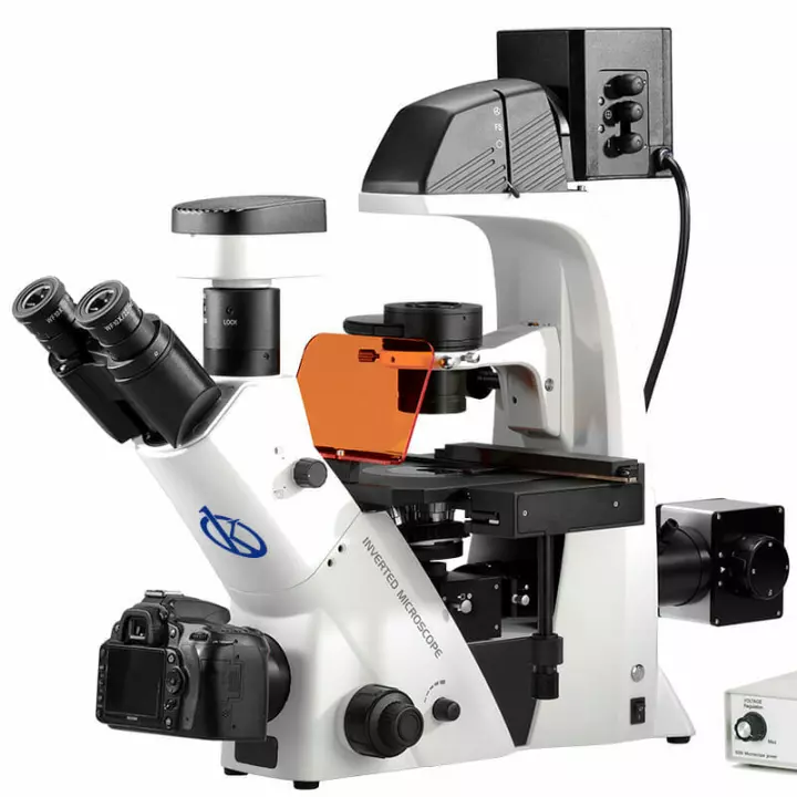 Comment installer correctement votre microscope optique? - Kalstein