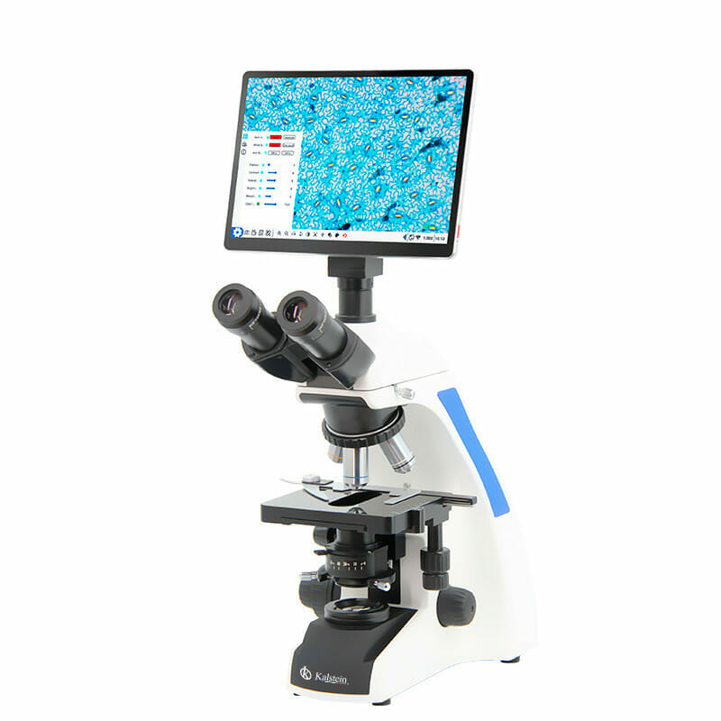 Microscope numérique avec écran tactile LCD YR05782 - Kalstein